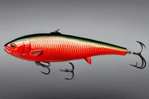 red-trout-lure-1702393899