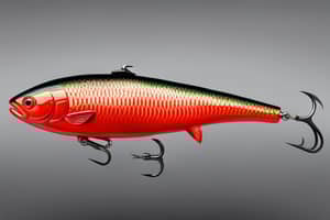 red-trout-lure-1702393899