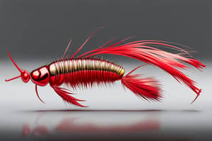 red-cockroach-lure-1694646938
