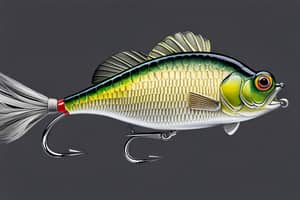 natural-crappie-lure-1696540338