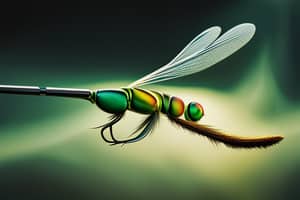 green-dragonfly-lure-1691996519