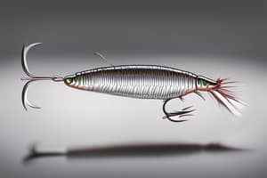 silver-cockroach-lure-1691184425