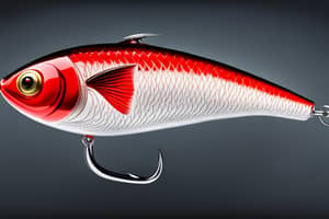 red-shad-lure-1694646642