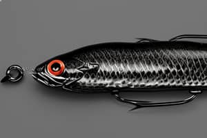 black-lizard-lure-1676698301