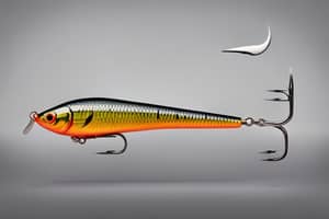 black-minnow-lure-1696540712