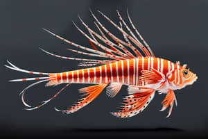 orange-lionfish-lure-1710468762