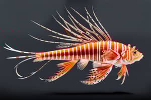 orange-lionfish-lure-1710468762