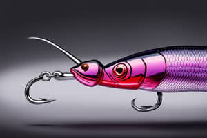 purple-carp-lure-1696541119