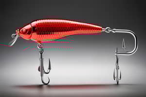 red-beetle-lure-1691110340