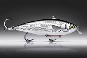 silver-shad-lure-1691520742