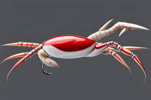 bread-crab-lure-1696541027