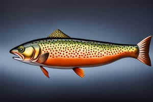 brown-trout-lure-1691004694