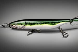 dark-green-shad-lure-1676733203