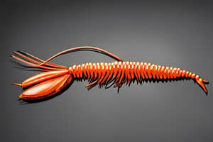 orange-crawfish-lure-1692751177