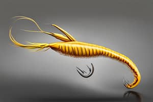 yellow-prawn-lure-1701692887