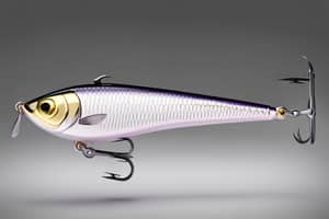 purple-shad-lure-1696540560