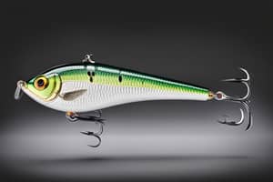 green-shad-lure-1698966577
