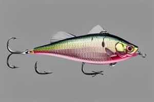 pink-perch-lure-1696540845