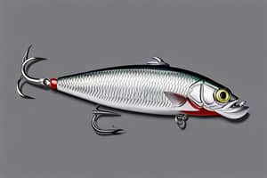 silver-shad-lure-1695298293