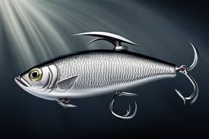 silver-shad-lure-1696540676