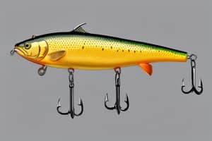 yellow-trout-lure-1702661380