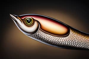 brown-eel-lure-1697279159