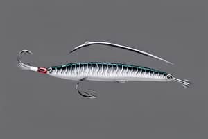 silver-prawn-lure-1703211223