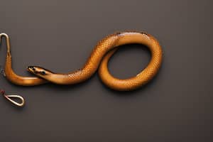 brown-snake-lure-1687112271