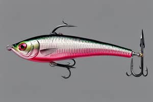pink-shad-lure-1694805490