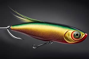 natural-minnow-lure-1711146642