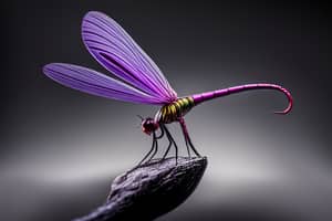 purple-dragonfly-lure-1710698735