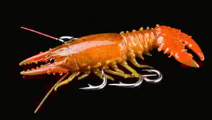brown-crawfish-lure-1733176908