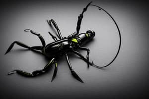 black-scorpion-lure-1676698255