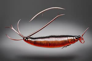 brown-cockroach-lure-1691100862