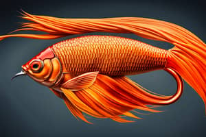 orange-siamese-fish-lure-1691091384