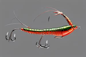 natural-prawn-lure-1695605395