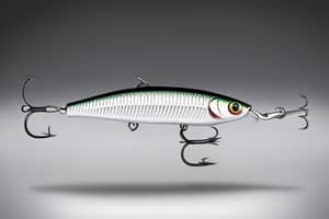 silver-minnow-lure-1705459836