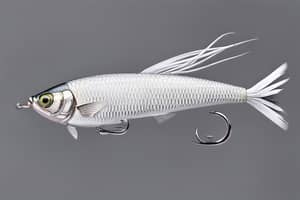 white-siamese-fish-lure-1696475686