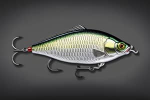 silver-crappie-lure-1693961398