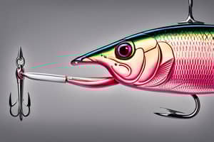 pink-zander-lure-1696541099
