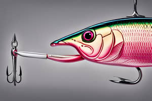 pink-zander-lure-1696541099