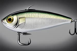 white-shad-lure-1695655454