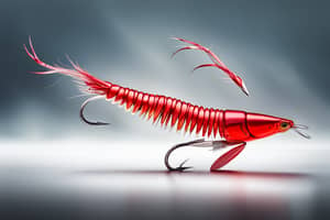 red-prawn-lure-1691007529