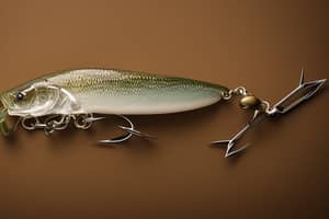 brown-shad-lure-1675430718