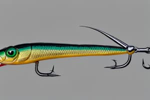 dark-green-lizard-lure-1691081416