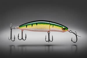 dark-green-grub-lure-1691497664