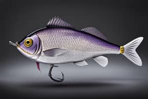 purple-sunfish-lure-1691097408