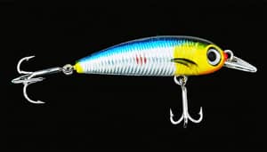 natural-minnow-lure-1738287418