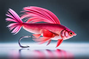 pink-siamese-fish-lure-1692836029