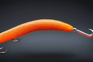 orange-earthworm-lure-1700018246